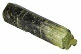 1.3" Beautiful Bicolored Dravite-Elbaite Crystal - Tanzania - #131544-1